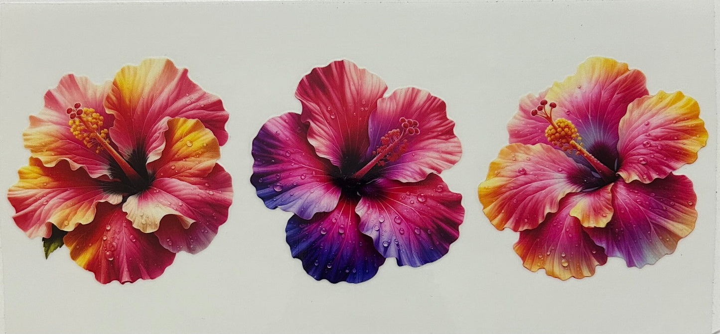 Hibiscus Flower Cup Wraps